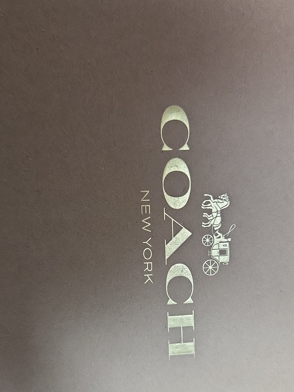 Authentic Mini RWN Coach Bag - Picture 14 of 16